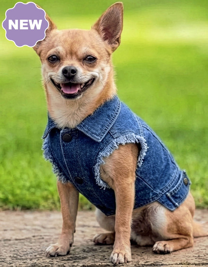 Portman & Pooch PP3